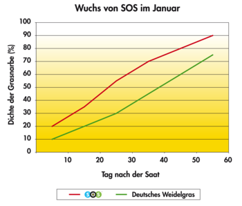 SOS_Graph_wuchs_von_SOS_Januar-24.png
